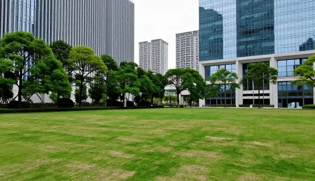 沈阳建站中职业照建议需注重光影质感